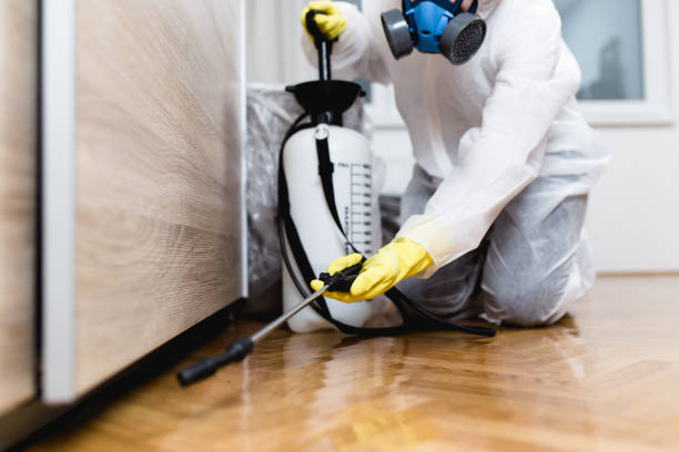 Best Best Pest Control Near Me  in Middlesex, NJ