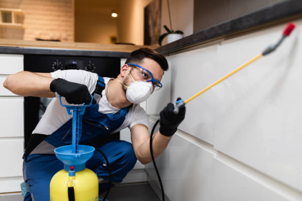 Best Bed Bug Extermination  in Middlesex, NJ