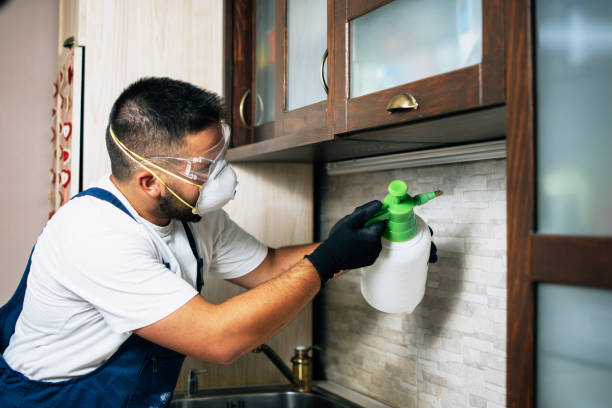 Best Flea Control Services  in Middlesex, NJ