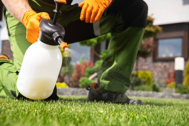 Best Emergency Pest Control  in Middlesex, NJ