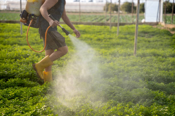 Best Mosquito Control Services  in Middlesex, NJ