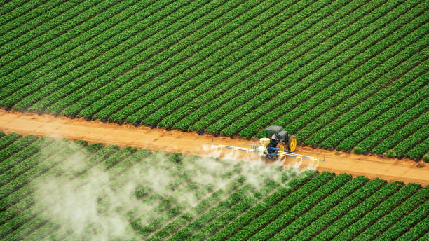Best Commercial Pest Control Services  in Middlesex, NJ