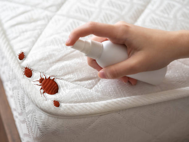 Best Cockroach Control Services  in Middlesex, NJ