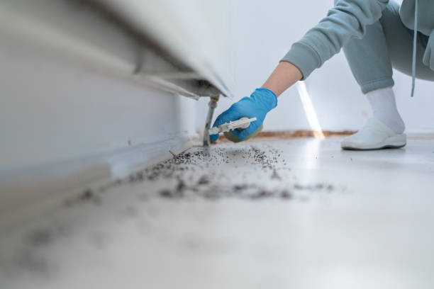 Best Local Pest Control Services  in Middlesex, NJ