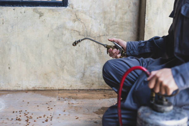 Best Affordable Pest Control Services  in Middlesex, NJ